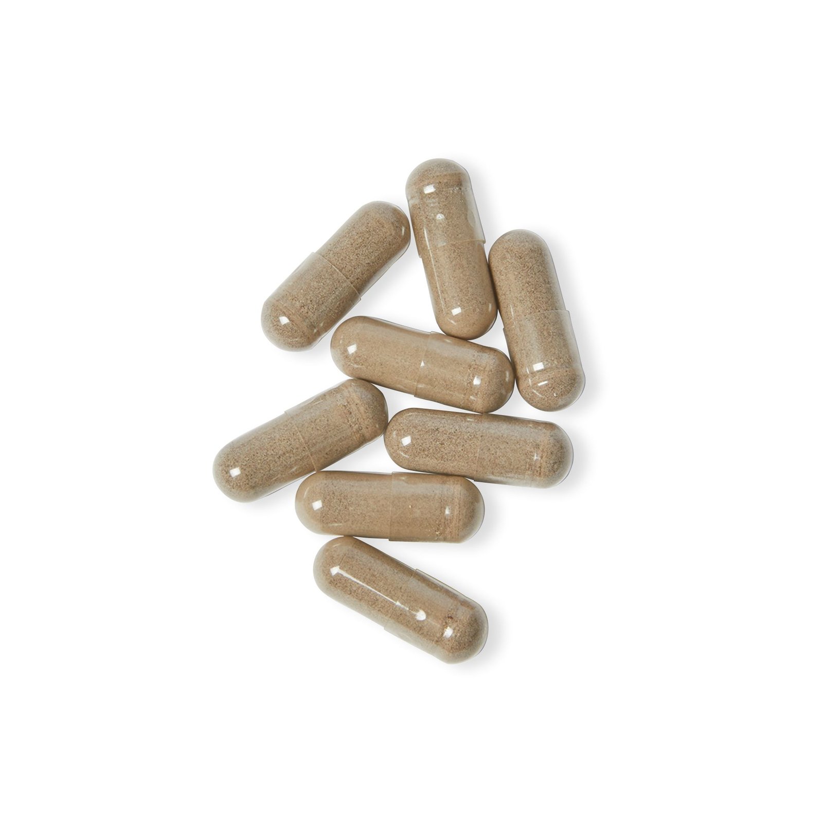Sea Moss Supplement (60 Capsules) - Image 3